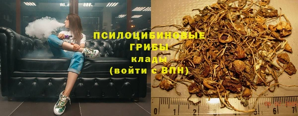 spice Кулебаки