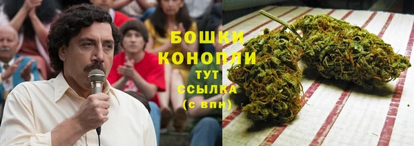 spice Кулебаки