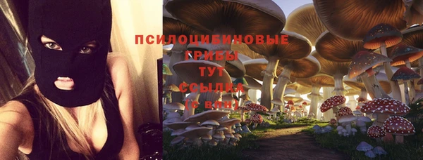 spice Кулебаки