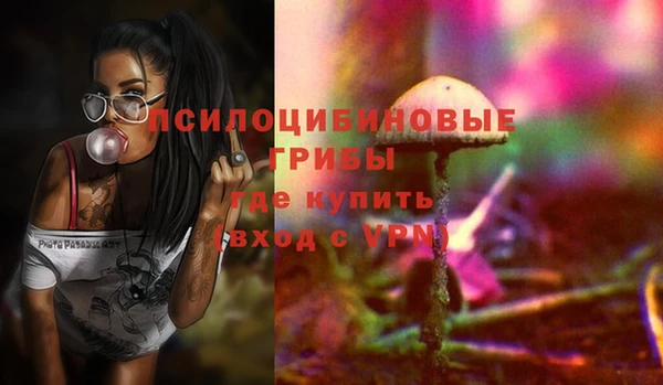 spice Кулебаки