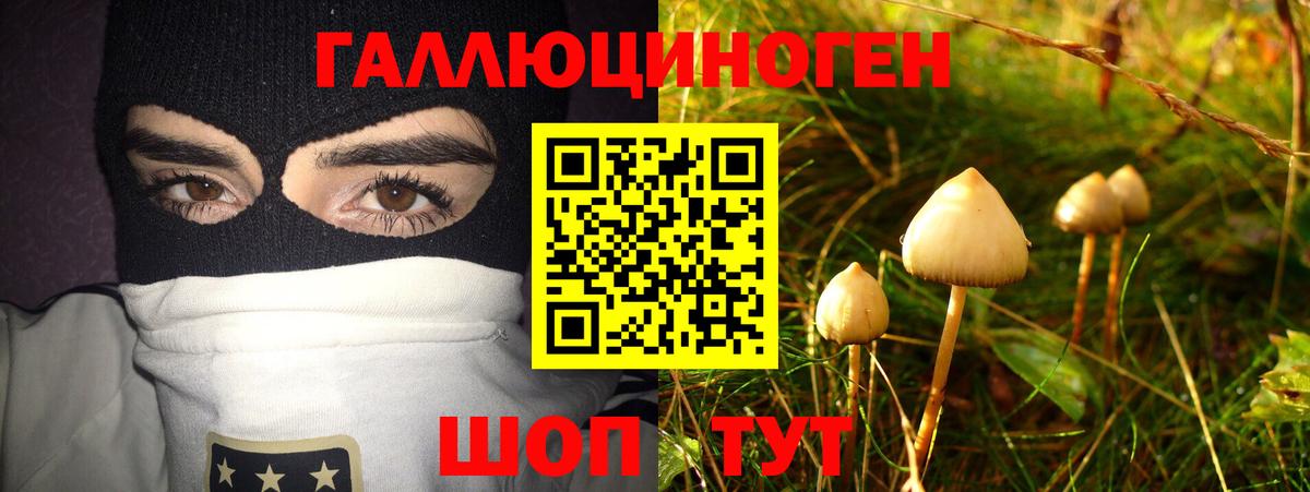 Галлюциногенные грибы GOLDEN TEACHER Урюпинск