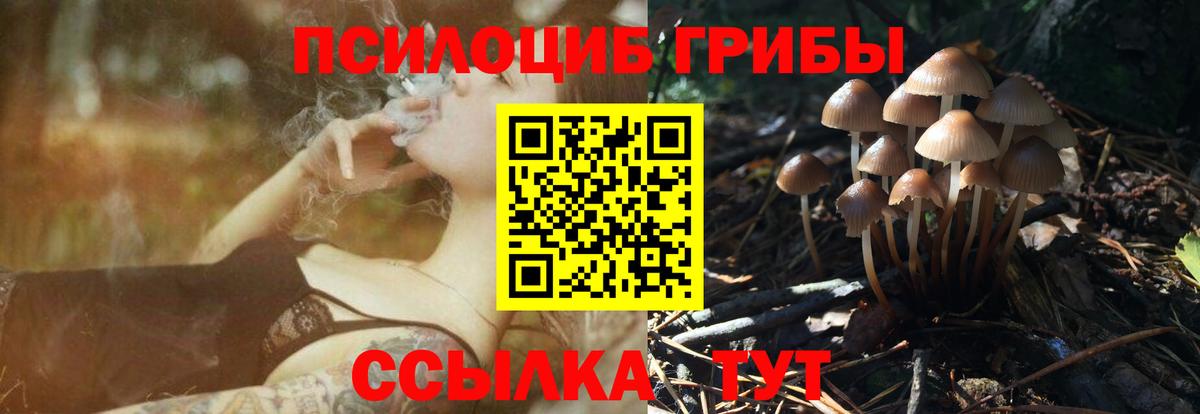 где найти наркотики  Урюпинск  Галлюциногенные грибы Magic Shrooms 