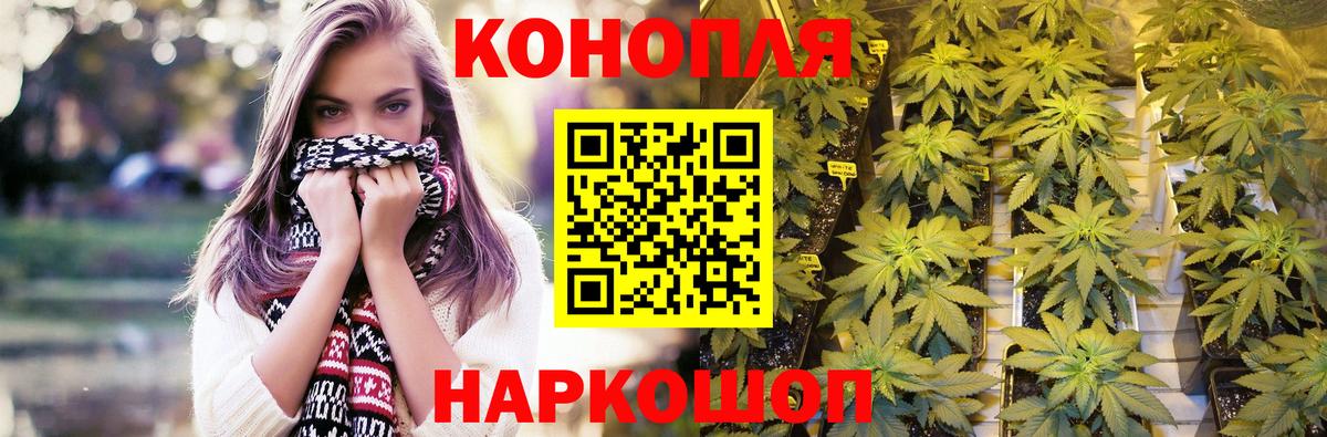 Урюпинск  Конопля планчик  Вход с VPN  Каннабис тримм 